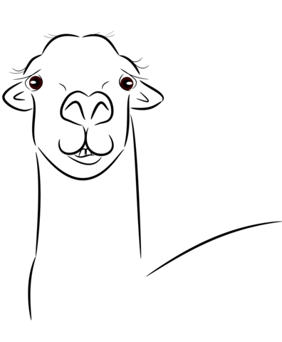 Llama Head Coloring Page